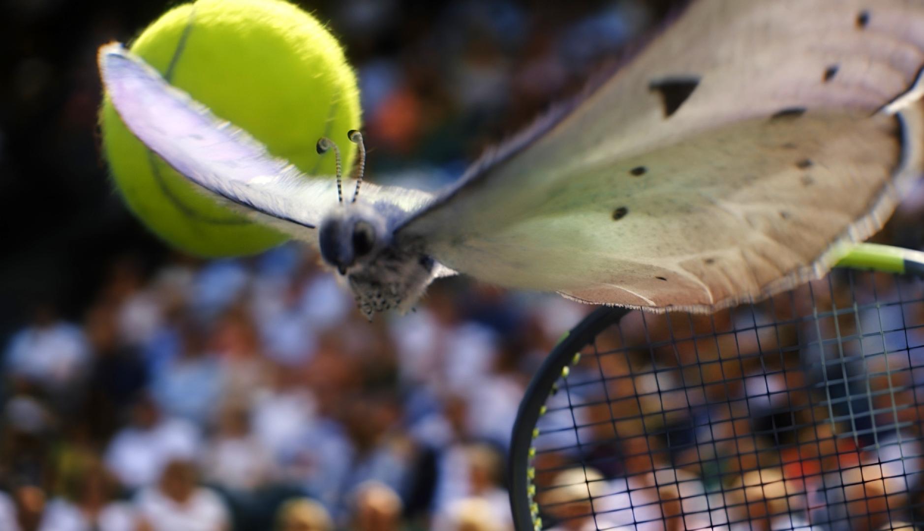 Una mariposa con las alas desplegadas entre la raqueta y la pelota de tenis en movimiento
