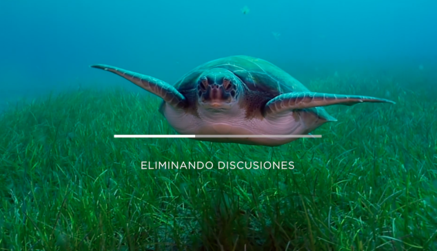 mejor spot premios eficacia 2019