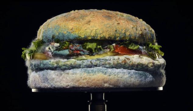 “Moldy Whopper”, de Burger King, se hace con El Sol de Platino en El Sol 2021