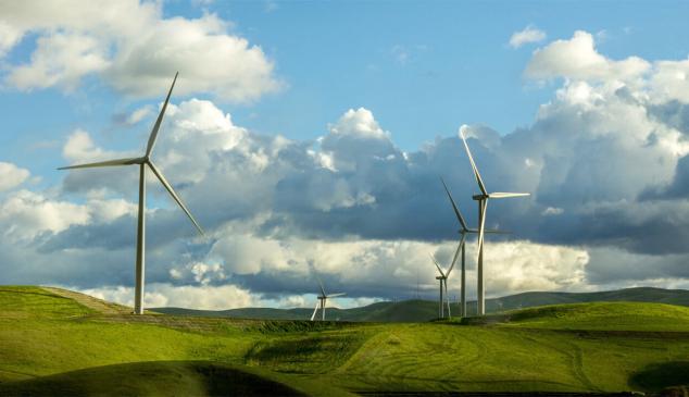 molinos de viento