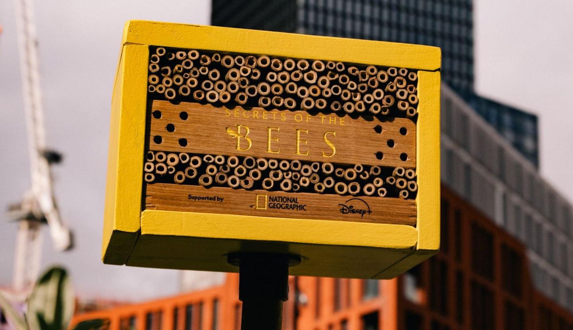 Panel para abejas de National Geographic
