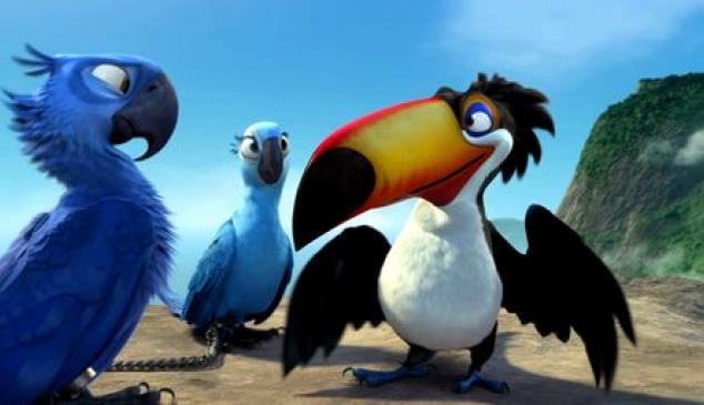 pajaros-twitter-gifs