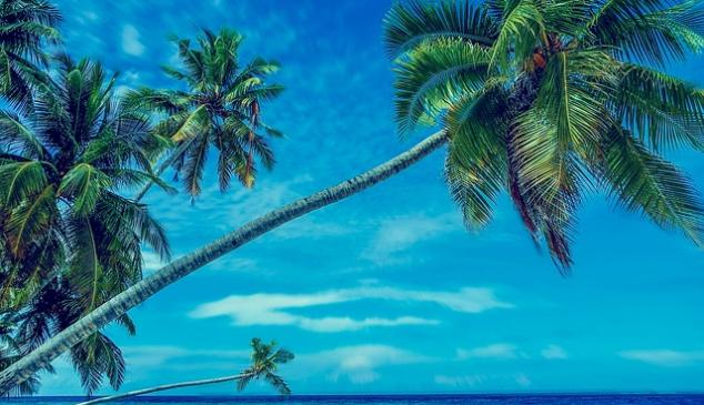 verano-ventas