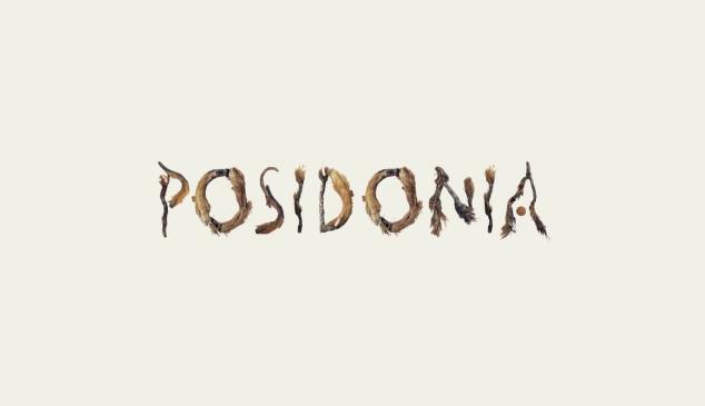 posidonia_tipografia_planta_mediterraneo