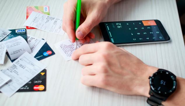 estudio ingresos perfil consumidor