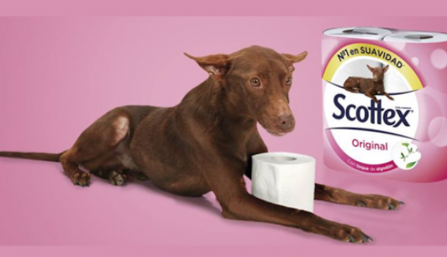scottex-perros-abandonados