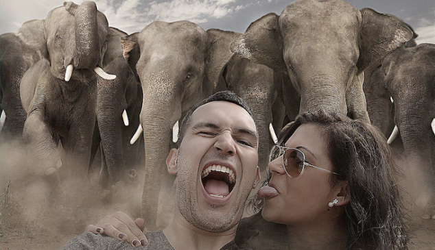 selfie-peligroso-ReasonWhy.es