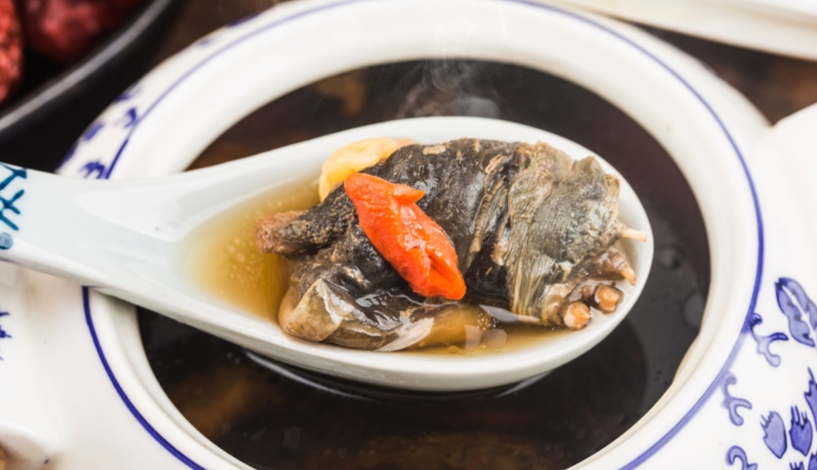sopa de tortuga