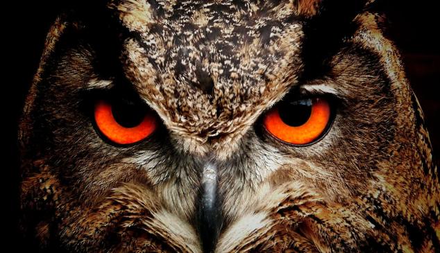 tendencias-hootsuite
