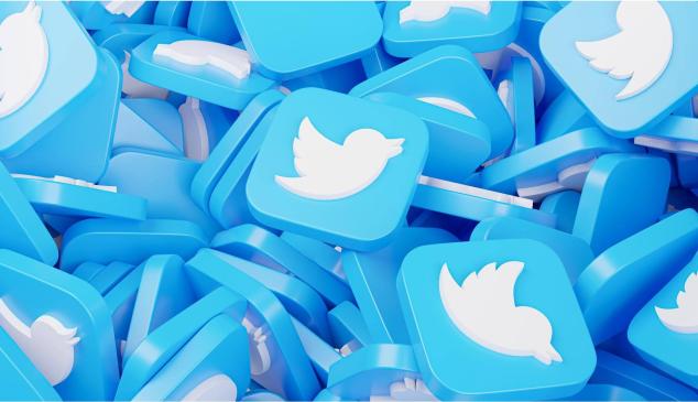 twitter-pajaro
