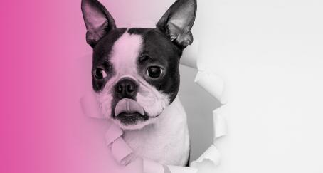 perfiles-intrusos-marketing-publicidad