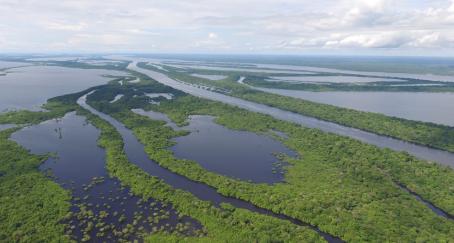 63 millones de hectáreas en la Amazonia buscan patrocinadores