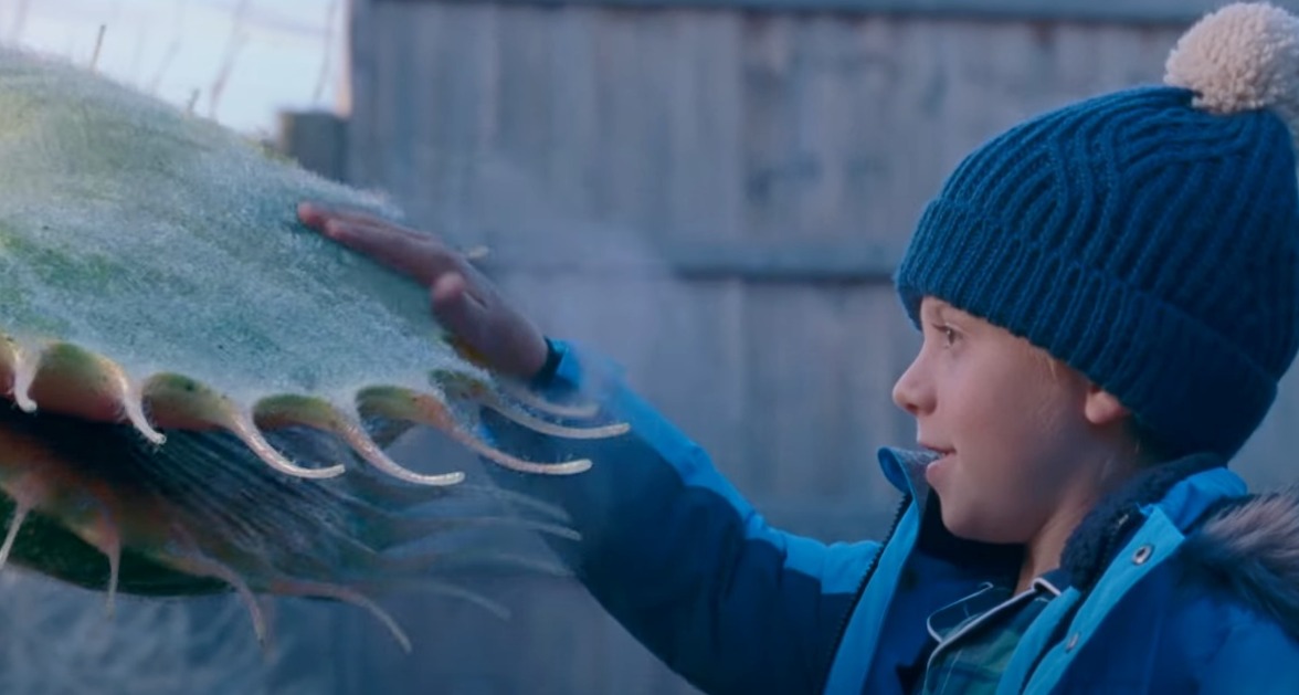 Una venus atrapamoscas cambia las tradiciones en el anuncio de Navidad de John Lewis John Lewis_Navidad 2023