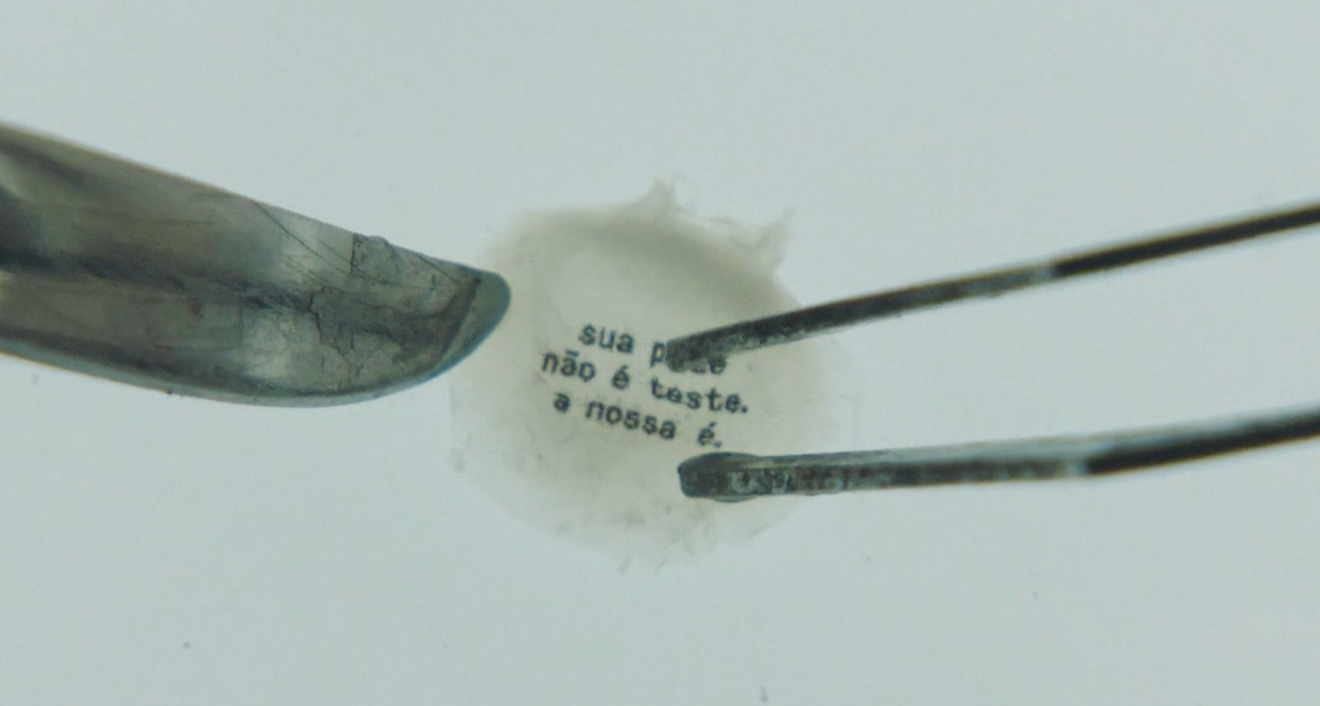 Fragmento de piel creada en laboratorio