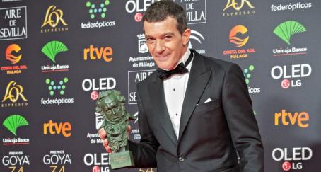 antonio banderas goyas