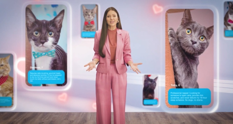 Una presentadora con pantallas de teléfono alrededor que muestran fotos de gatos