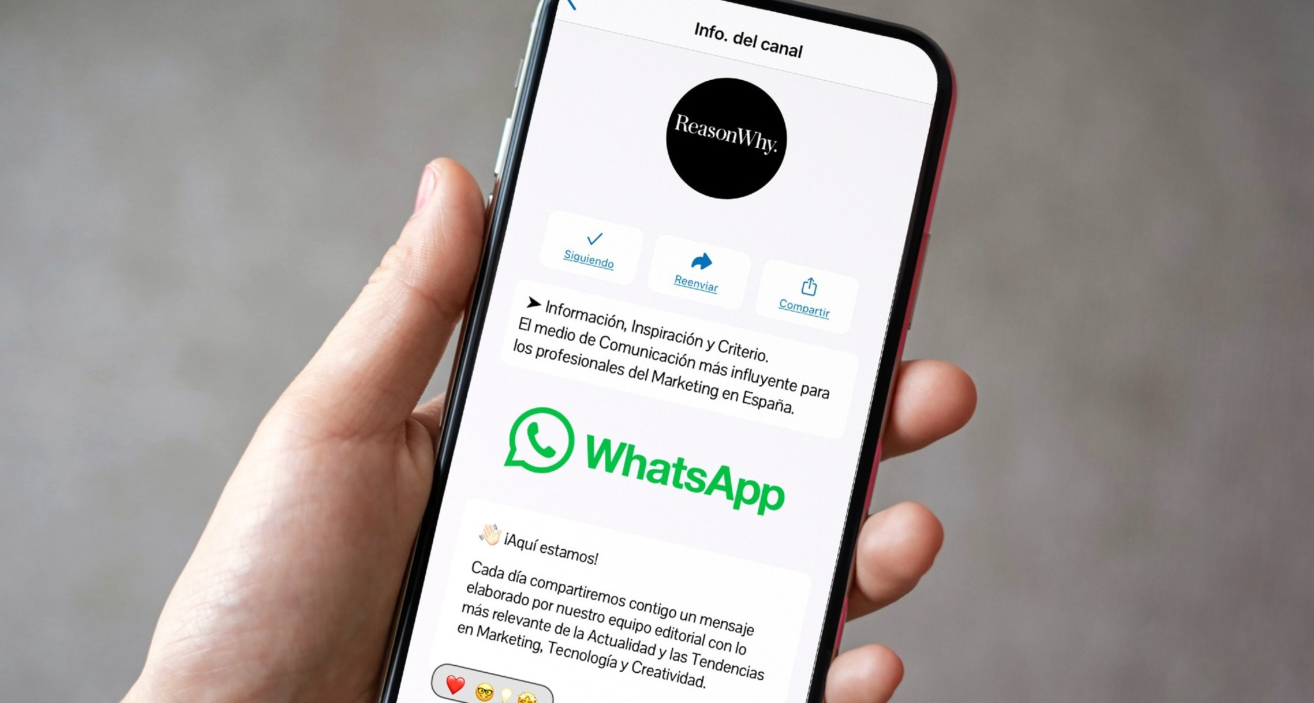 canal de reason why en whatsapp