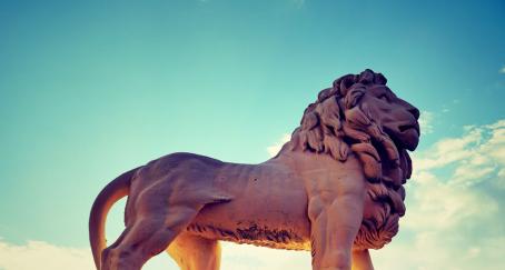 cannes lions live evento digital creatividad