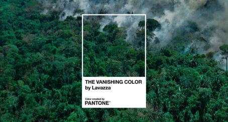 color-pantone-deforestacion