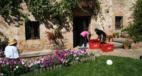 Dia y el proyecto social La Exclusiva facilitan el acceso a la alimentación a 7.000 hogares en municipios sorianos sin tiendas Dia y el proyecto social La Exclusiva facilitan el acceso a la alimentación a 7.000 hogares en municipios sorianos sin tiendas