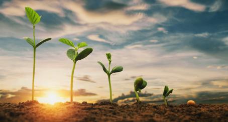 Más allá de la ecología: pobreza y hambre, el aspecto de la sostenibilidad que más preocupa a los españoles ecologia-espanoles
