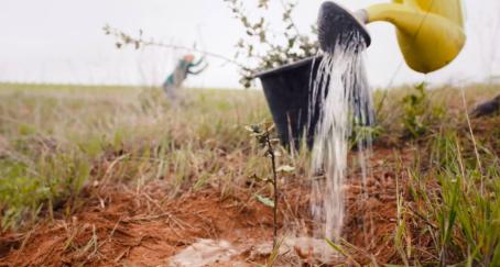 finish_national_geographic_escasez_agua_documental.