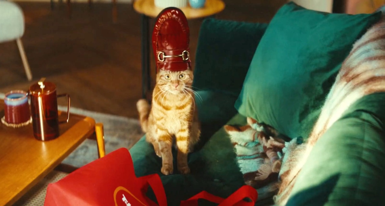 Un gato marrón con un zapato mocasión rojo en la cabeza