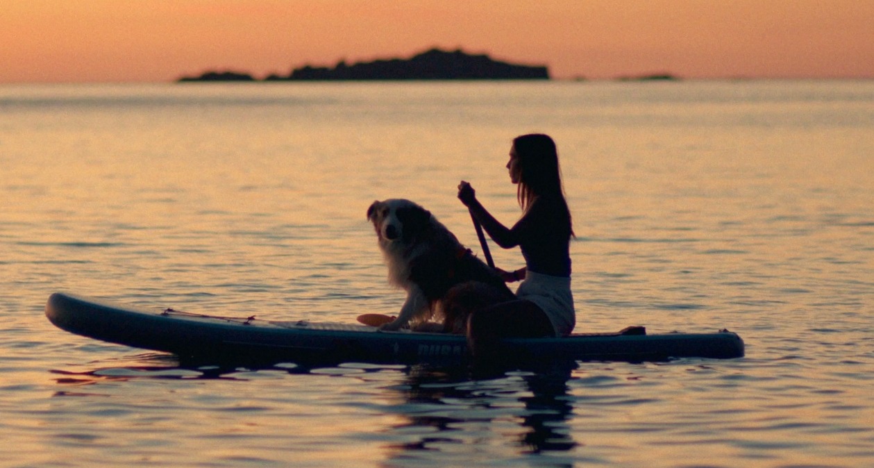 Una chica y su perro en la tabla de paddle surf al atardecer en el mar