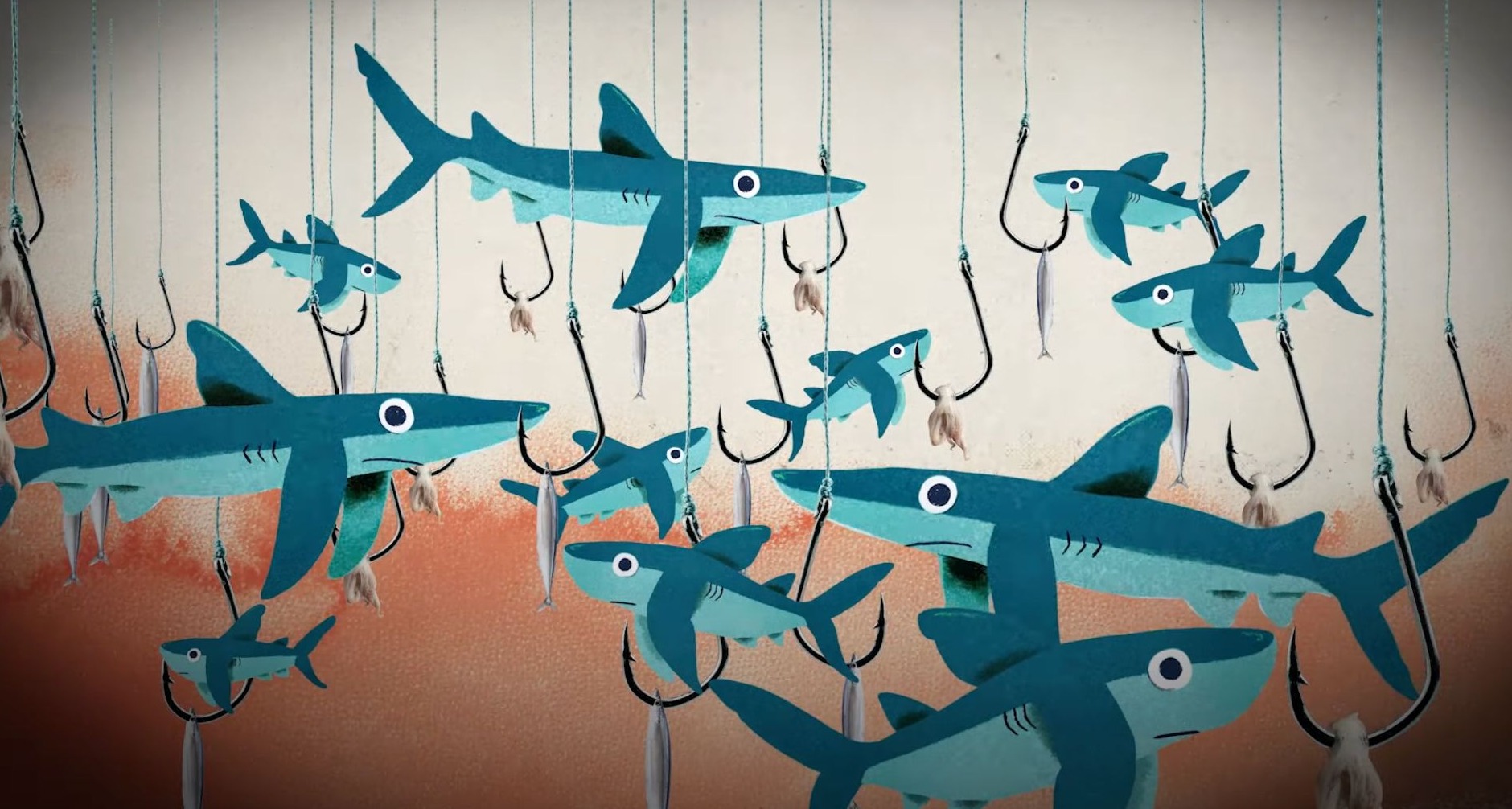 Ilustraciones de pesca de tiburones