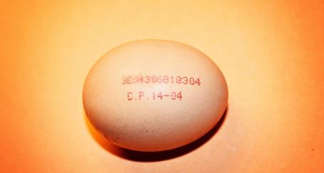 huevo-fecha-caducidad