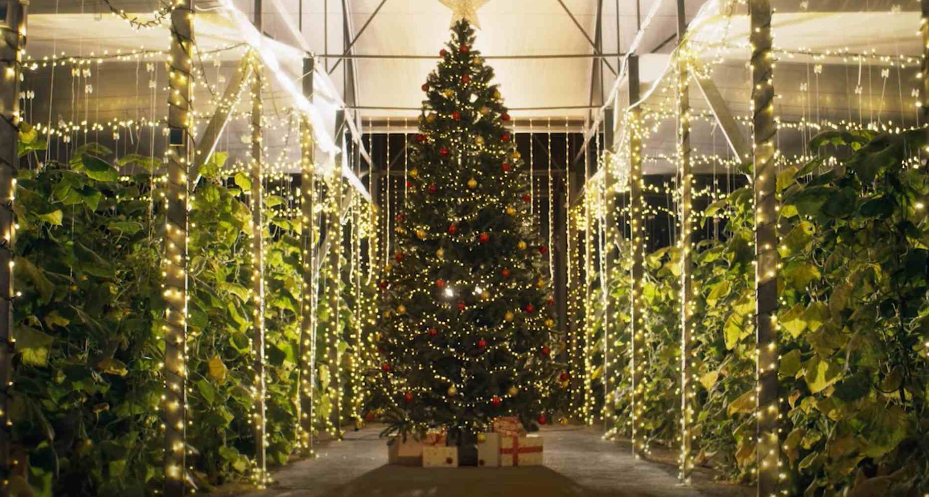 La compañía hortofrutícola La Unión rinde homenaje al esfuerzo de los agricultores en su anuncio de Navidad La Unión Navidad