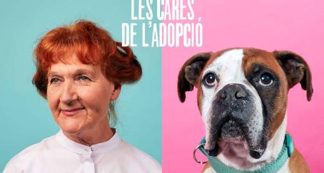 Las caras de la adopción