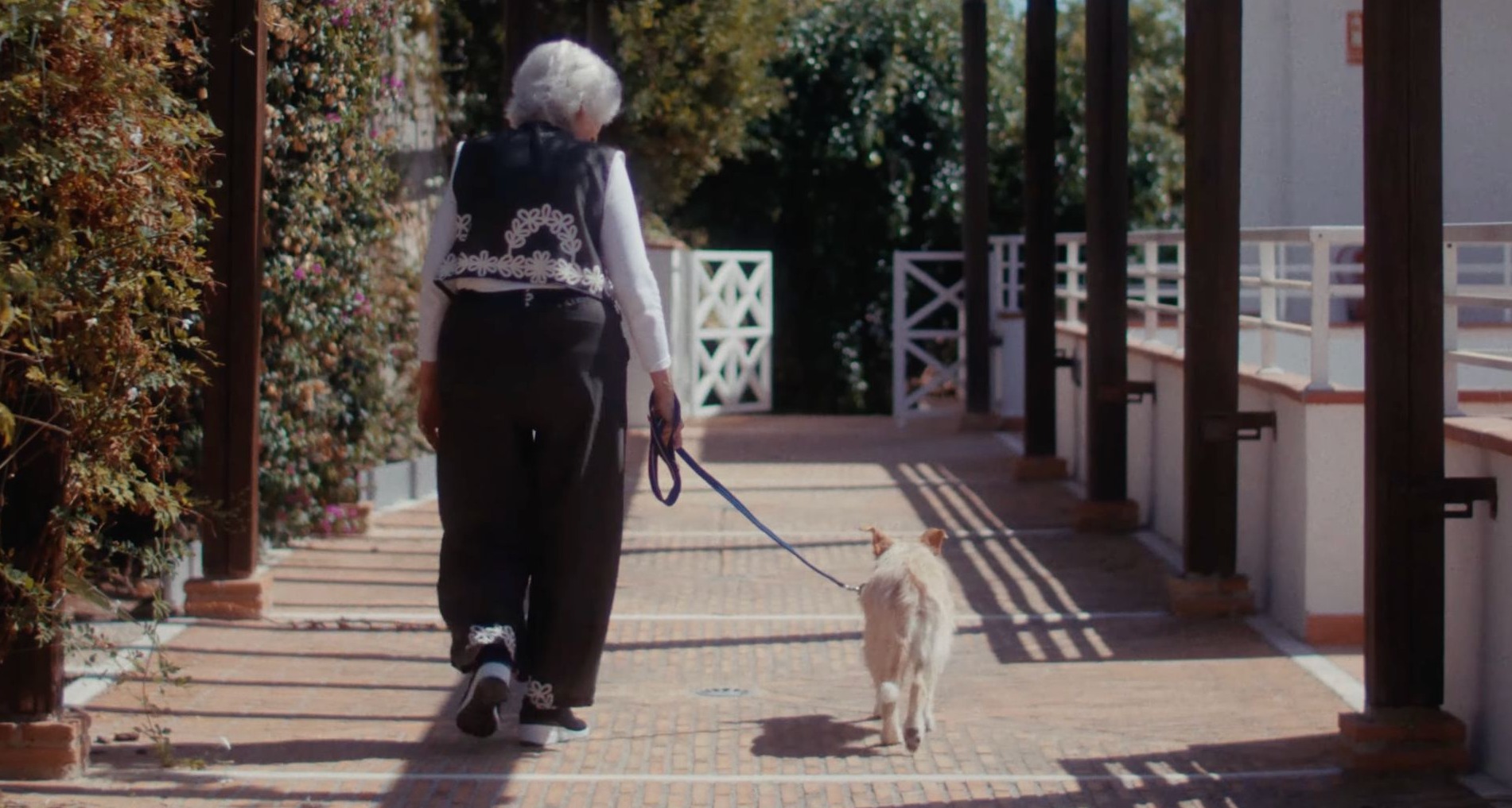 Una mujer mayor pasea a un perro