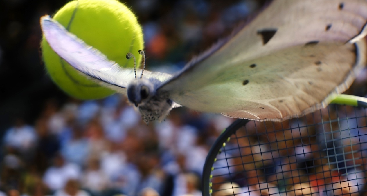 Una mariposa con las alas desplegadas entre la raqueta y la pelota de tenis en movimiento