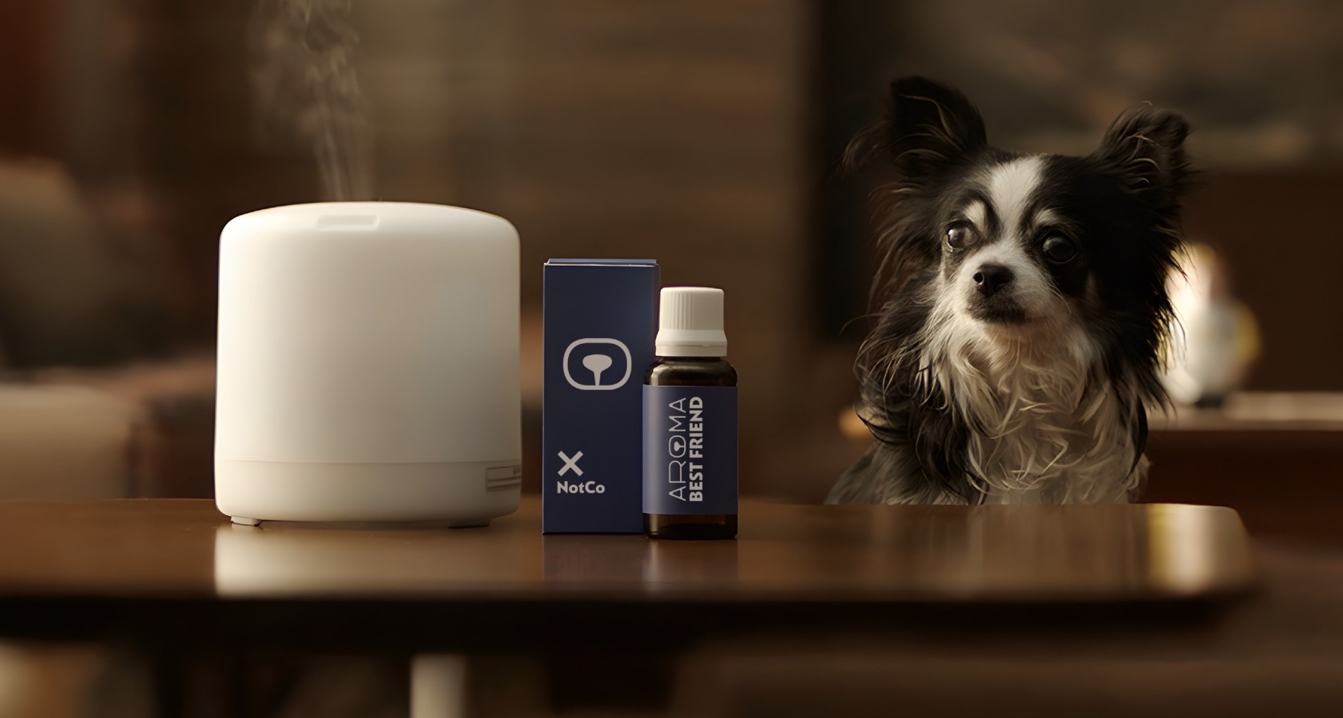 Un perro junto a un difusor de aromas