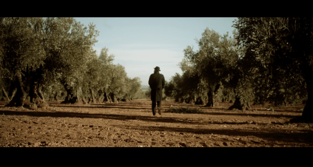 Campaña aceite oliva español