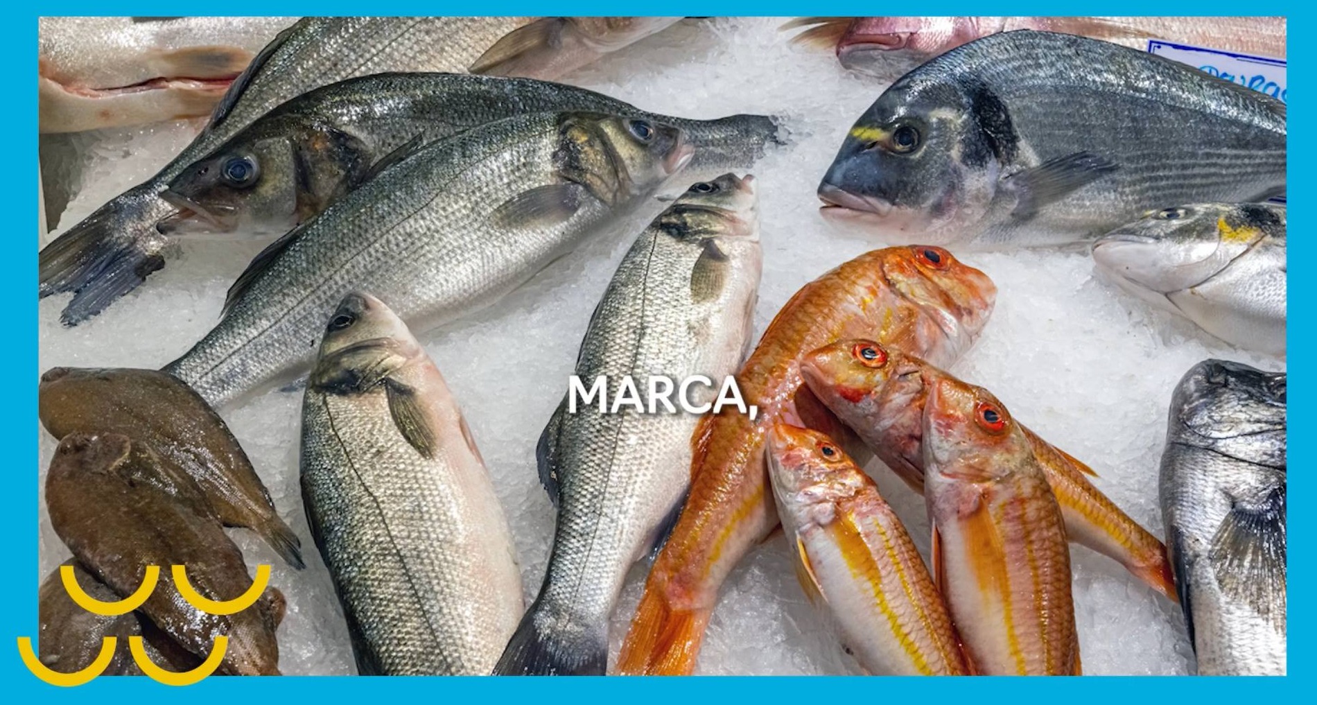 Imagen de un puesto de pescado