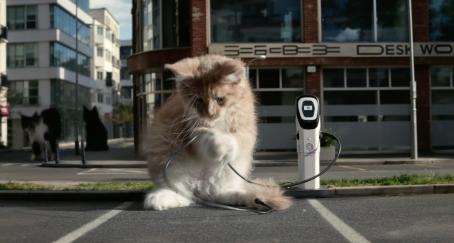 Un gato juega con un cargador de coche eléctrico