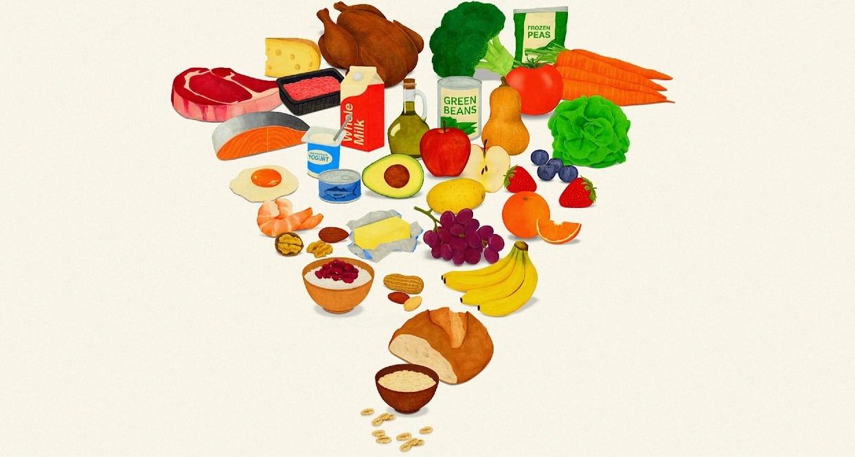 La nueva pirámide, invertida y con los alimentos dibujados en estilo acuarela