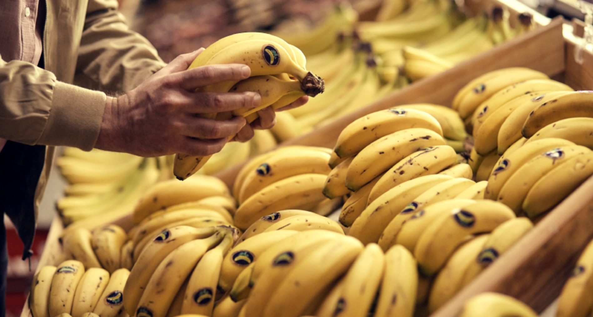 Manos de hombre sujetan plátano de canarias