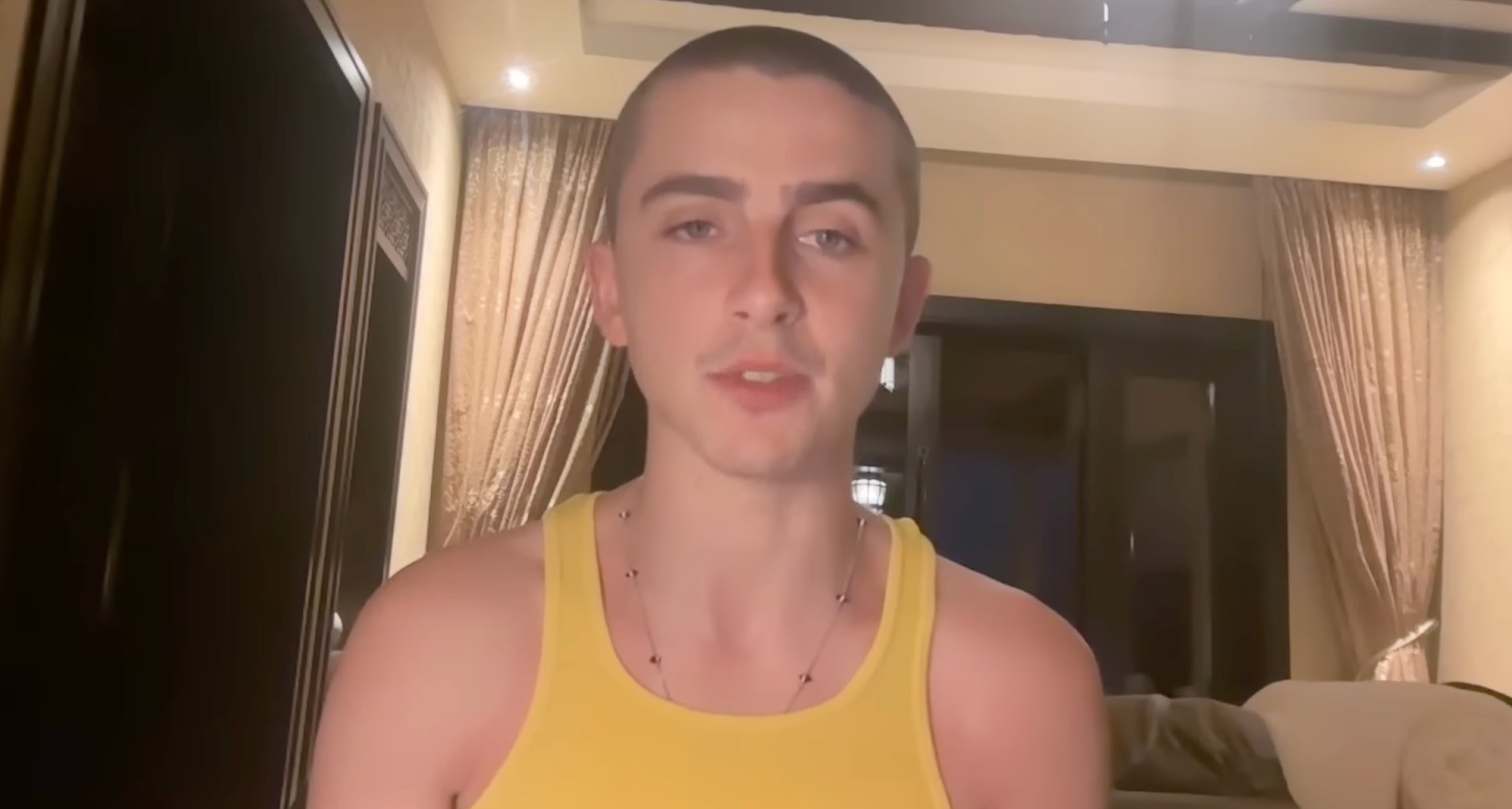 Timothee Chalament en una videollamada
