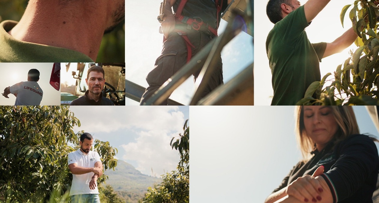 Imágenes de trabajadores en el campo aplicándose crema solar