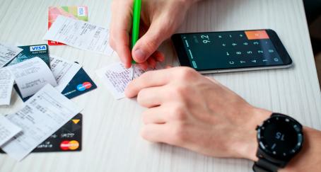 estudio ingresos perfil consumidor