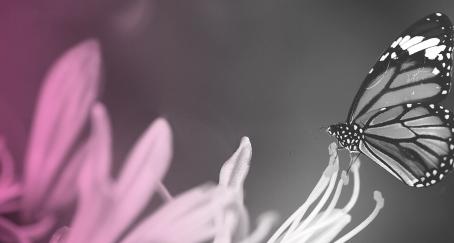 transformacion-digital