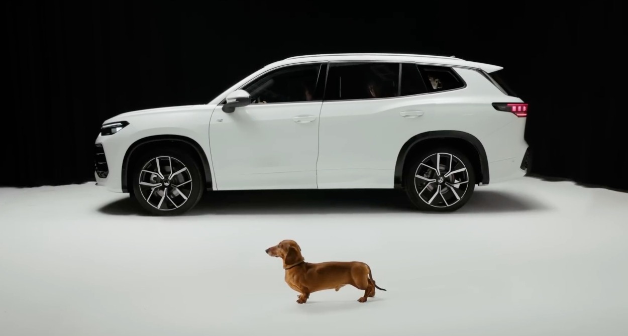 una imagen de perfil con el coche de volkswagen y al lado el perro salchicha