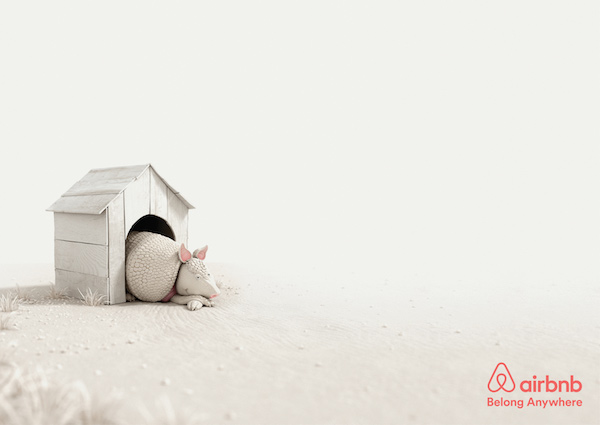 armadillo-airbnb