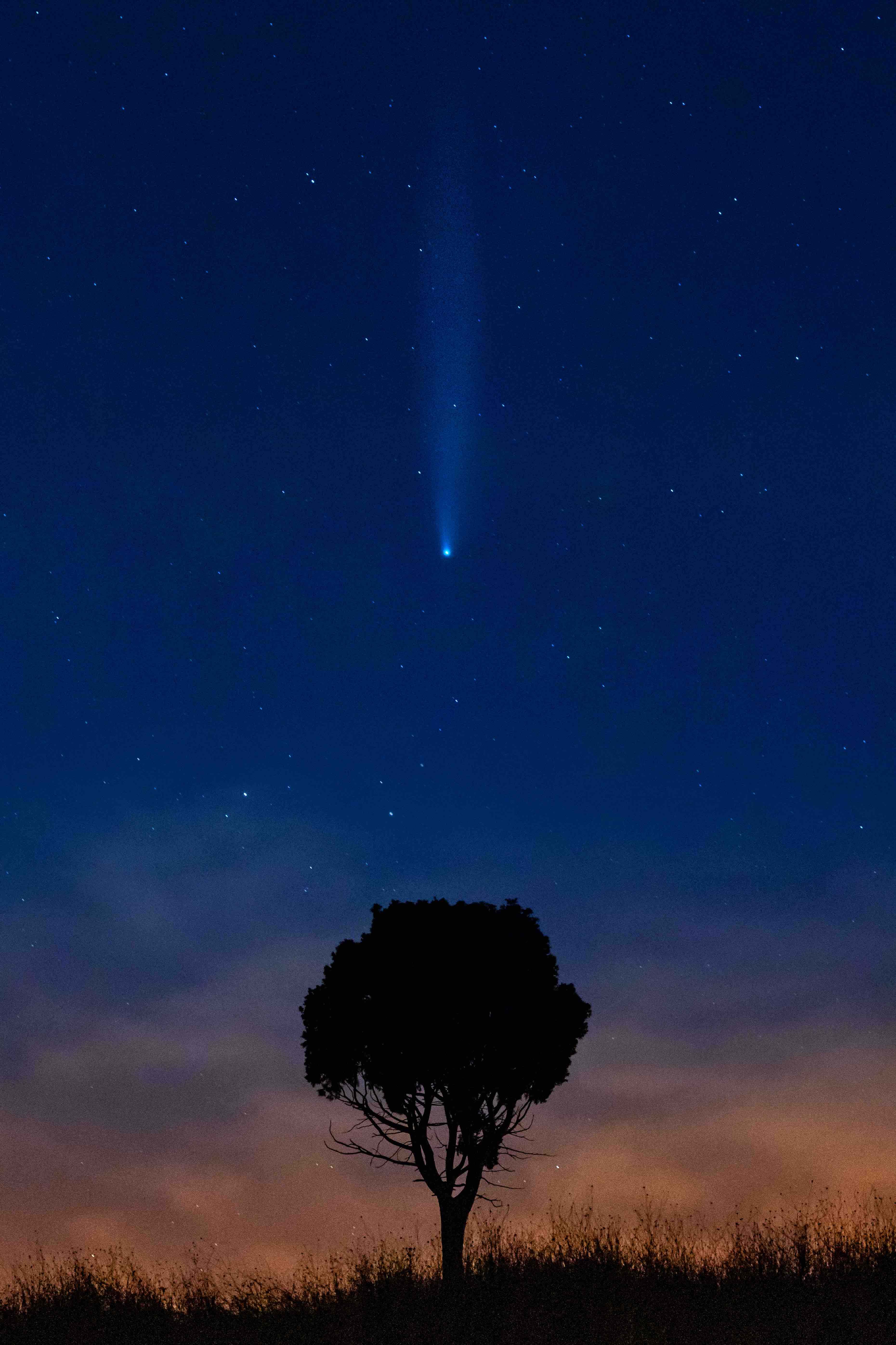 Fotografía de Fabio Mirulla