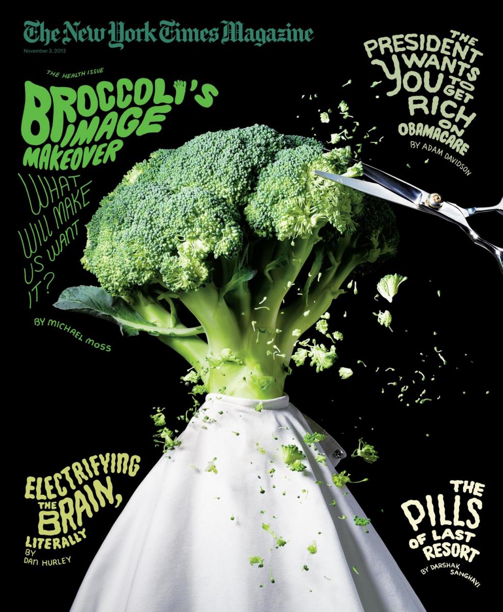 TheNewYorkTimesMagazine-cover-2013