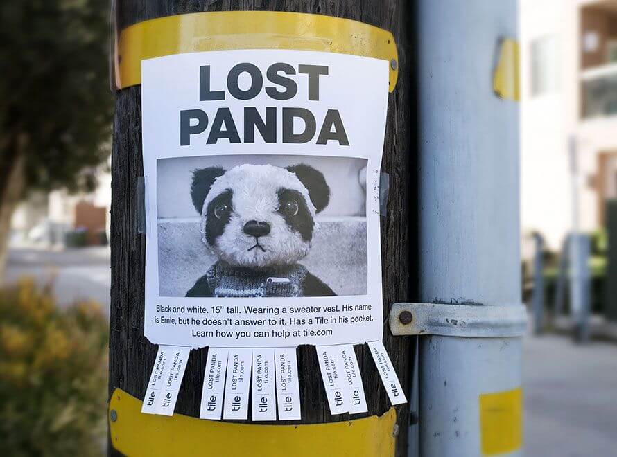 anuncio-panda-perdido