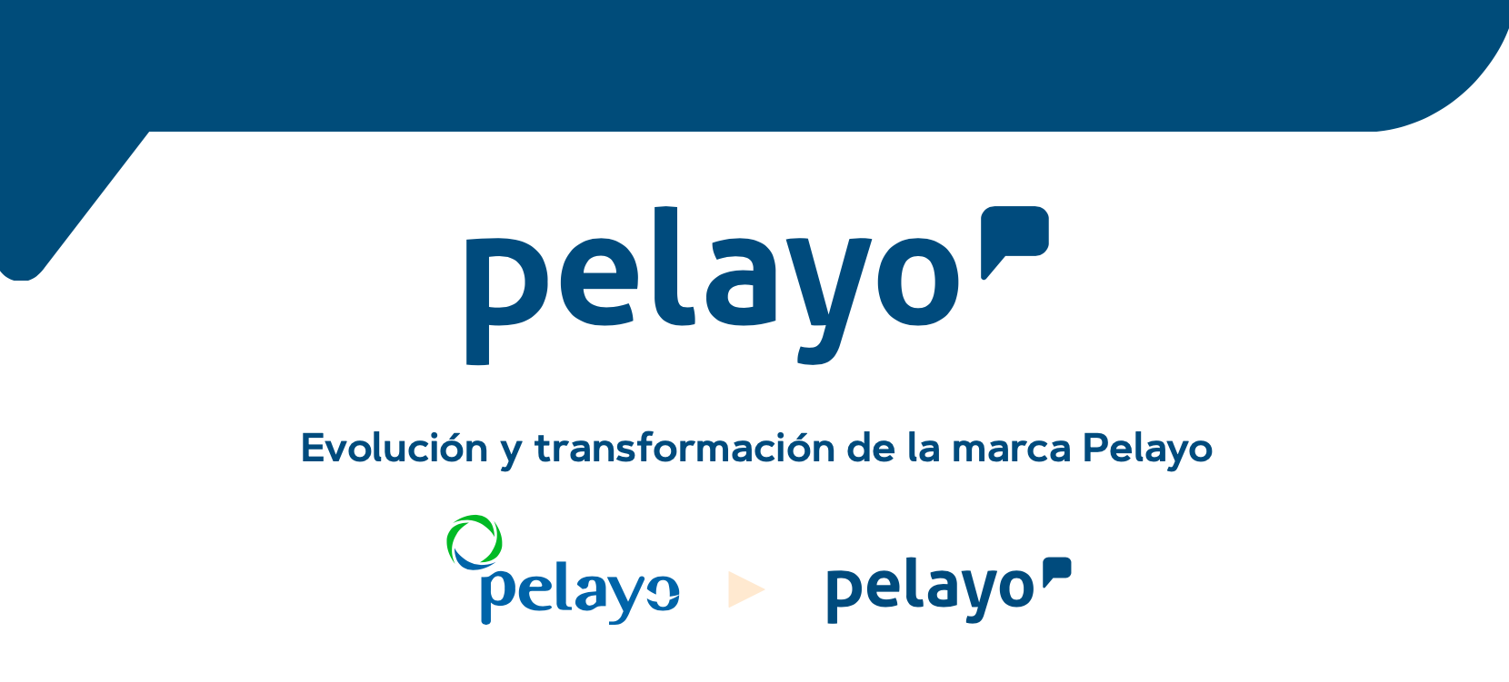 Evolución de la identidad visual de Pelayo